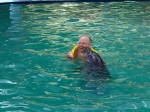 Swimming with dolphins
